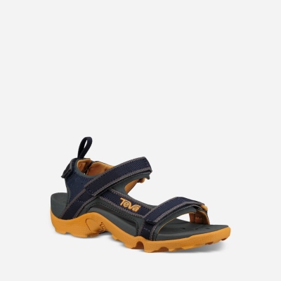 Teva Tanza - Kids' Teva Hiking Sandals - Grey / Mango | India (DJGR51984)